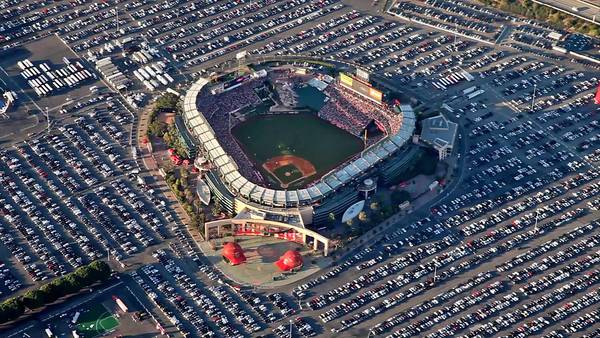 Ducks (and Angels) fly together! - Los Angeles Angels