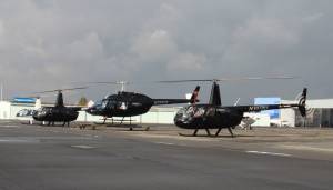 Tourist Groups Welcome - Los Angeles Helicopter Tour